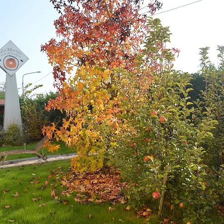 Le Macine フェラーラ